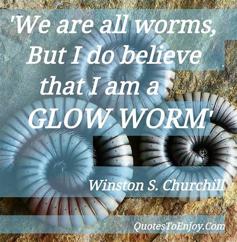 We are all worms. But I believe that I am a glow-worm. - Winston Churchill