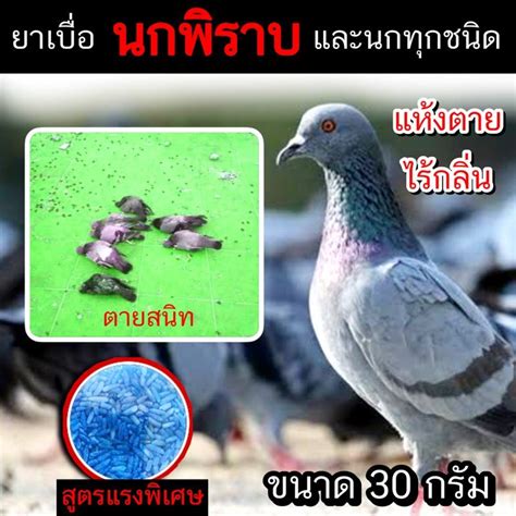 Pigeon poison 30g kills birds, birds, birds, pigeons, bird killers ...