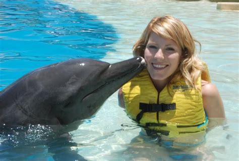 dolphin kisses | Love actually, Dolphins, Adorable