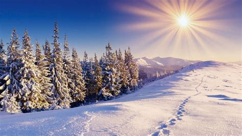 Winter Wallpapers 1920x1080 - Wallpaper Cave