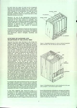 Sapwood-and-Heartwood1.pdf