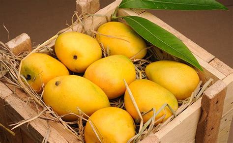 Pakistani Mangoes exports to 57 countries hit highest level of history