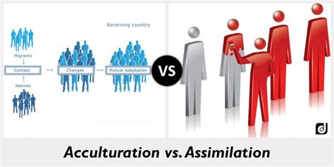 Pin on Socio-Cultural Factors of ELLs