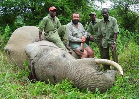 United States – Trophy Hunting Elephants and Lions | IWB