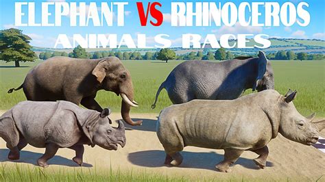 Elephant vs Rhinoceros Animals Speed Races in Planet Zoo included Rhinoceros, Elephant - YouTube