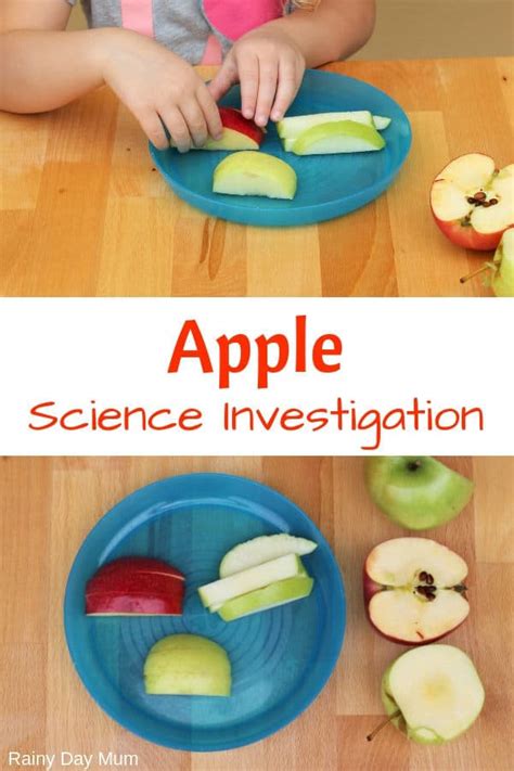 Preschool Apple Science Investigation Using the 5 Senses