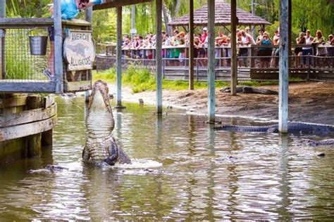 Alligator Adventure: Myrtle Beach Attractions Review - 10Best Experts and Tourist Reviews