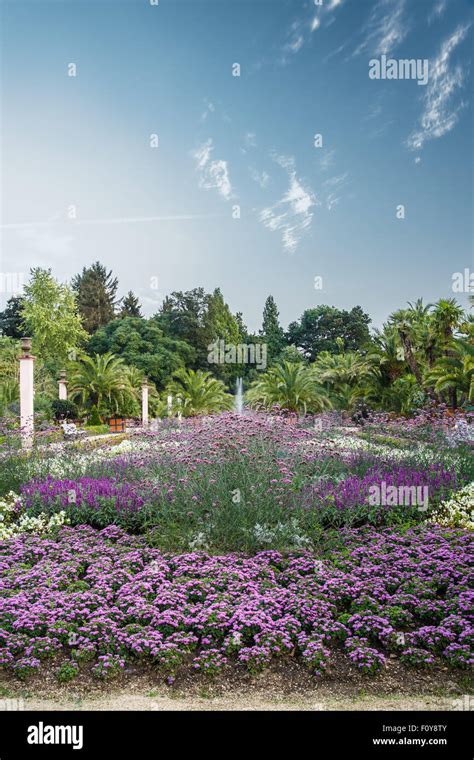 Pyrmont park hi-res stock photography and images - Alamy