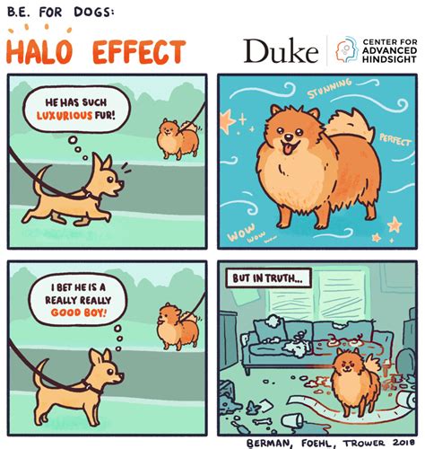 B.E. For Dogs: Halo Effect – Center for Advanced Hindsight