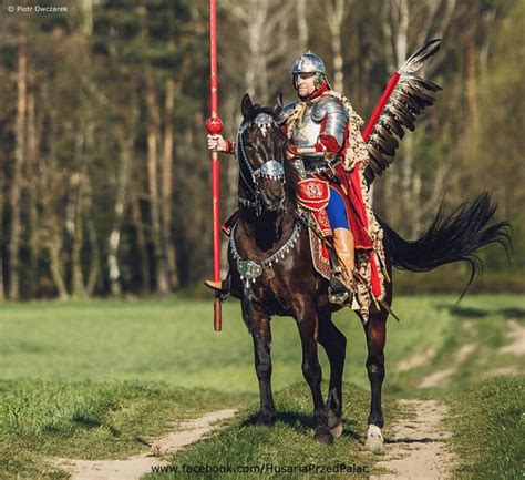 99 best images about Polish Cavalry on Pinterest | Armors, Armour and Wings