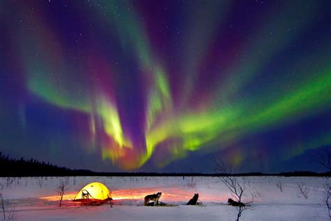 Winter Wonderland | Alaska northern lights, See the northern lights ...