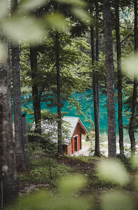 "Tiny Cabin In The Woods Close To A Lake" by Stocksy Contributor ...