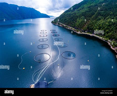 Farm salmon fishing in Norway aerial photography Stock Photo - Alamy