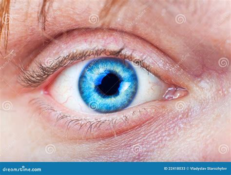 Close-up Of Blue Eye Stock Photos - Image: 22418033