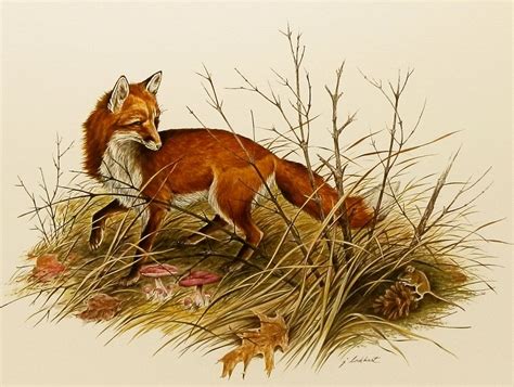 Fox Art Print w/Mat (Rustic Decor, Cottage Wall Art) Matted Vintage Animal Art… | Fox ...