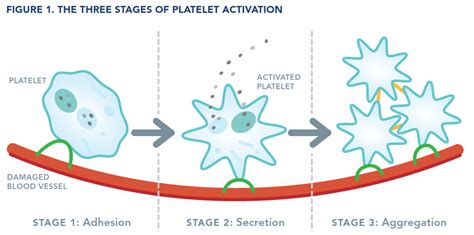 Inherited platelet disorders - eLearning Platform