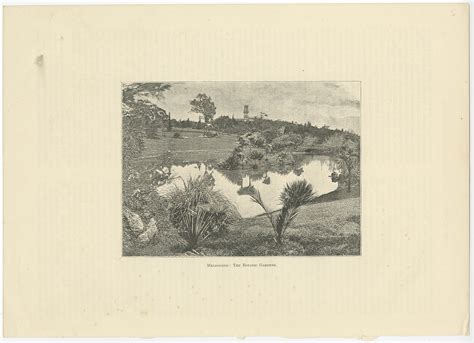 Antique Print of the Royal Botanic Gardens of Melbourne (c.1890)