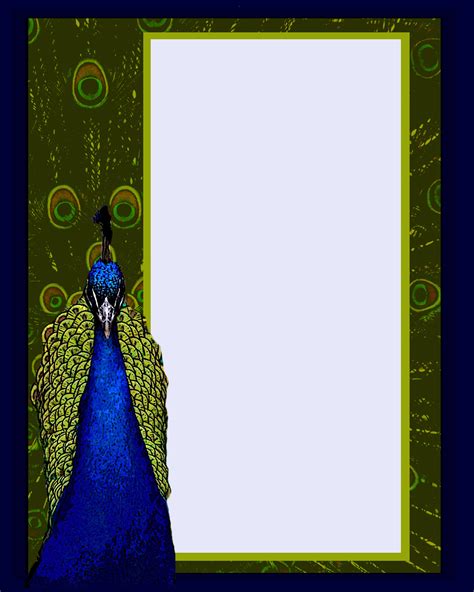 Peacock Invitation Template Free Stock Photo - Public Domain Pictures