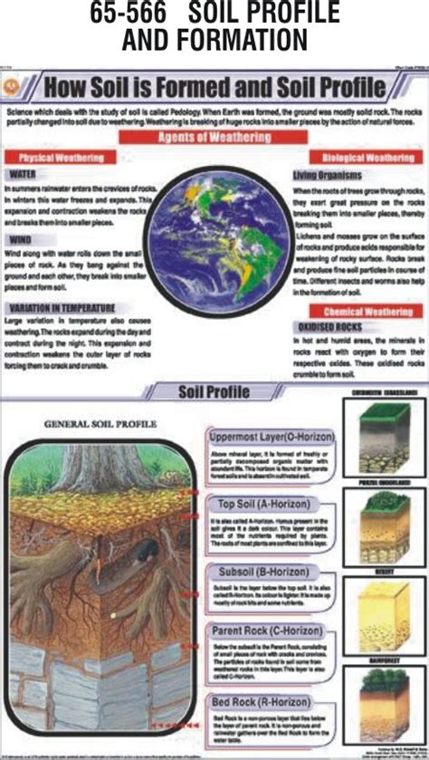 SOIL PROFILE & FORMATION - Hospital Equipment Manufacturing Company