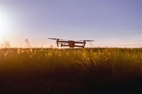 Drones and Crop Monitoring - The Primary Sector of the Global Economy