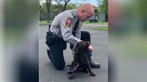 Fairfax County police chief Roessler retiring, effective February 2021 ...