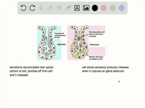 SOLVED:Which type of epithelial tissue specializes in moving particles ...