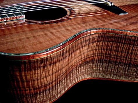 Pin on Exotic Woods / Guitars and Basses