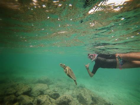 Snorkeling Nā Mokulua (Twin Islands) at Lanikai | Hawaii life, Snorkeling, Lanikai