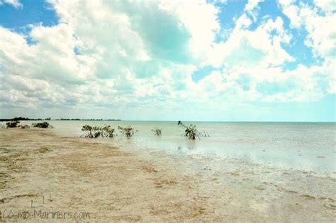 Tidal Flats and Deserted Beaches, Andros Island, Bahamas - Cosmos Mariners: Destination Unknown