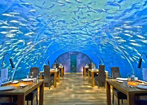 Ithaa - One and Only Underwater Restaurant in Maldives - Places To See In Your Lifetime