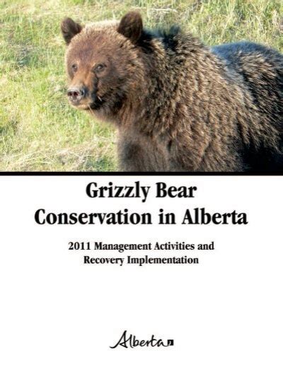 Grizzly Bear Conservation in Alberta - SRD.Alberta.ca - Government ...