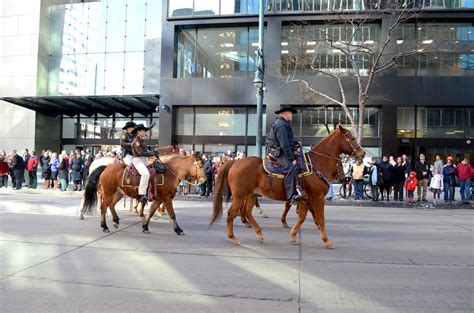 National Western Stock Show Parade | Denver Public Library Special Collections and Archives