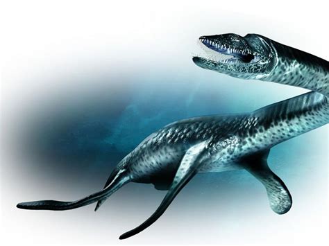 New species of bus-sized fossil marine reptile unearthed in Russia - Nexus Newsfeed