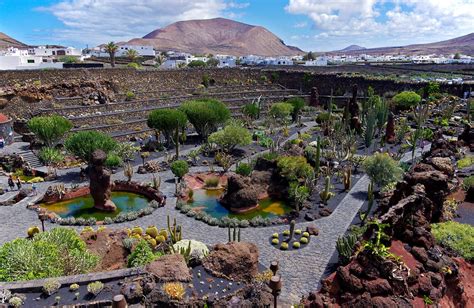 Cactus Garden - Lanzarote - Arrivalguides.com