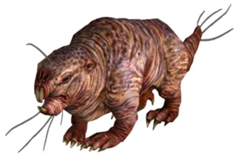 Mole rat (Fallout: New Vegas) - The Vault Fallout Wiki - Everything you need to know about ...