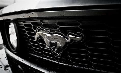 Ford Mustang Logo Wallpaper - WallpaperSafari