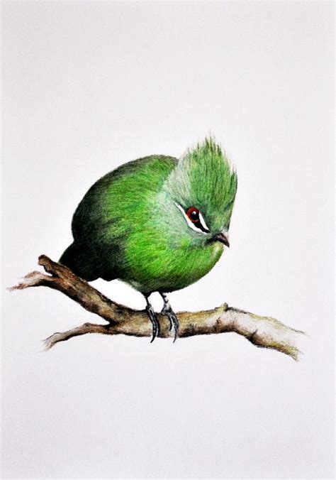 Green Bird - Original Colored Pencil Drawing, Bird Painting, Bird Art ...