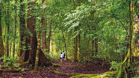 grantnsaipan: Taman Nasional Ujung Kulon