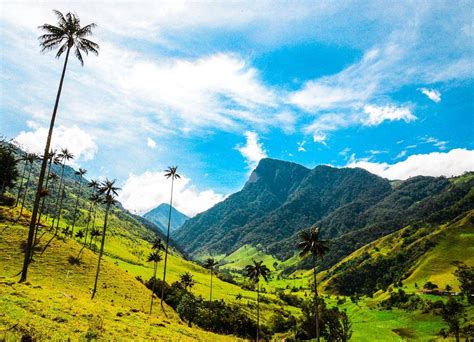 Salento & Cocora Valley | Travelombia