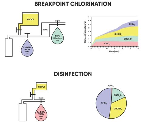 Water | Free Full-Text | Comparison of Disinfection By-Product ...