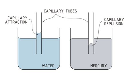 Adhesion Of Water Diagram