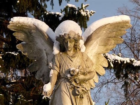 Snow angel | Angel, I believe in angels, Snow angels