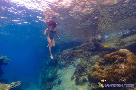 Koh Tao: Islands Snorkeling Highlights Day Tour & Lunch | GetYourGuide