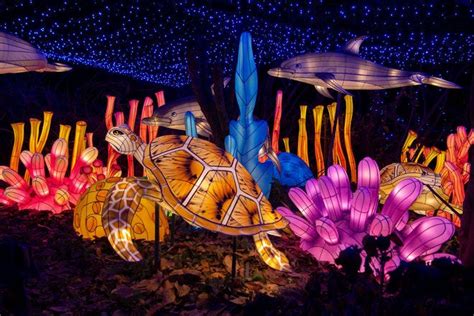 Vote- Best Zoo Lights Nominees: 2020 10Best Readers' Choice Travel Awards