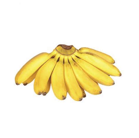 Banana Latundan | 1kg - GoodFinds Ph