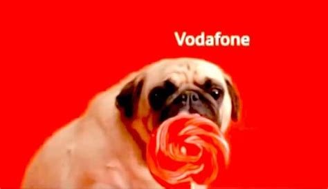 Vodafone: Vodafone brings back iconic ad campaign featuring pug ...