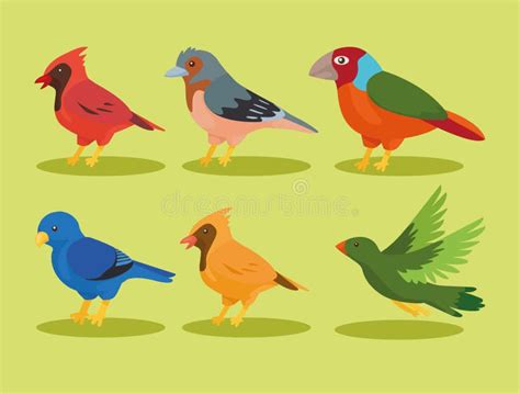 Six birds species icons stock vector. Illustration of live - 250062657