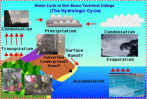 Environmental Science: Water Cycle