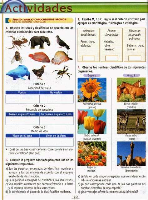 GRADO SEXTO: actividad clasificación de los seres vivos