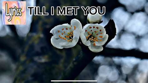 TILL I MET YOU WITH LYRICS - YouTube